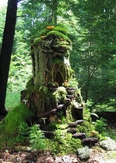 a moss covered tree stump in the middle of a forest with stairs leading up to it