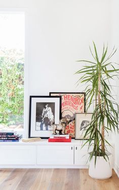 there is a potted plant next to a window in the room with pictures on it