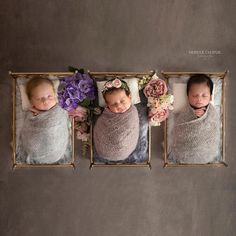 three newborn babies are wrapped in blankets and laying on their backs with flowers around them