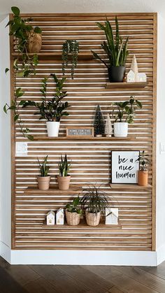 some plants are sitting on wooden shelves in front of a wall