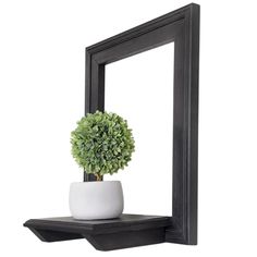 a small potted plant sitting on top of a shelf in front of a mirror