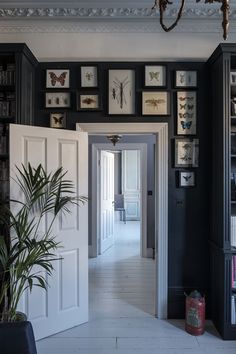 an open door leading to a hallway with pictures on the wall and plants in vases