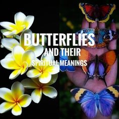 butterflies and flowers with the words, butterflies and their spiritual meaningss on top of them