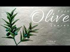 two green leaves are on top of a white paper with the words olive in it