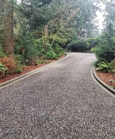 an empty road surrounded by trees and bushes