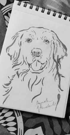 Dog
Dog sketch
Dog drawing
Golden retriever drawing Golden Retriever Pencil Drawing, Dog Drawing Golden Retriever Easy, Golden Retriever Drawing Tutorial, Puppy Sketch Pencil Drawings