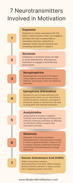 7 Neurotransmitters Involved in Motivation: 1) Dopamine 2) Serotonin 3) Norepinephrine 4) Epinephrine (adrenaline) 5) Acetylcholine 6) Glutamate 7) GABA Brain Anatomy And Function, Learning Psychology, Psychology Notes, Psychology Studies, Brain Anatomy, Brain Chemistry, Psychology Student