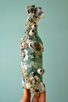 a person holding up a bottle with shells on the bottom and inside, in front of a blue wall