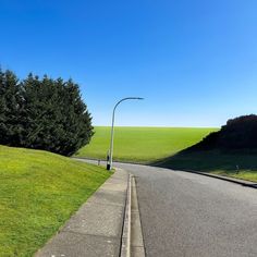 an empty street in the middle of a green field with trees on both sides and a light pole at the end