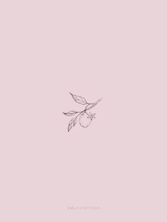 a drawing of a leaf on a pink background