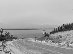 a black and white photo of a road next to the ocean with trees on both sides