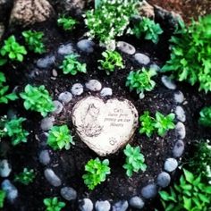 a heart shaped rock surrounded by plants and rocks