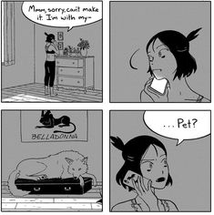 a comic strip with an image of a woman talking on the phone and a cat laying down