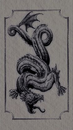 a black and white drawing of a dragon on a piece of paper with an ornate frame