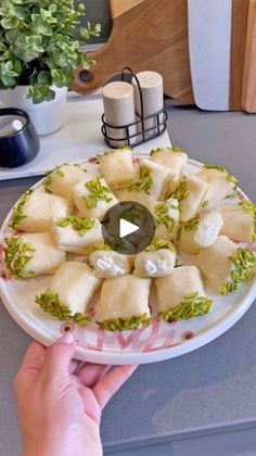 a person holding a plate with food on it