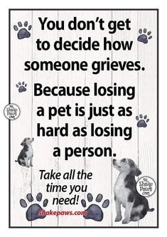 a dog saying that you don't get to decide how someone gives because losing a pet is just as hard as being a person take all the time you need