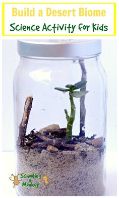 a glass jar filled with dirt and plants