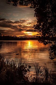 the sun is setting over a lake with ducks swimming in it