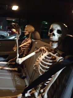 two skeletons sitting in the back seat of a car