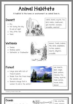 an animal habitat worksheet for kids