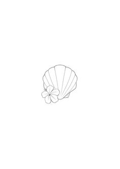 a drawing of a seashell on a white background