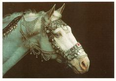 a white horse with silver jewelry on it's head