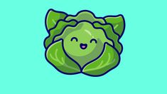 a green head of lettuce on a blue background