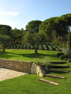 an outdoor garden with steps leading up to the grass area and trees in the background