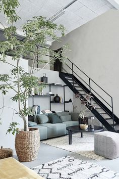 a living room filled with furniture and a tree in the corner next to a stair case