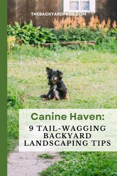 a black and brown dog sitting in the grass with text overlay reading canine haven tail - wagging backyard landscaping tips