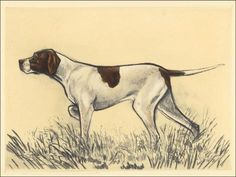 a drawing of a dog standing in the grass