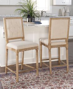 two chairs sitting on top of a rug in front of a kitchen counter with a potted plant