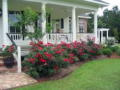 a white house with red flowers in the front yard