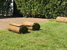 two hay bales sitting in the middle of a yard