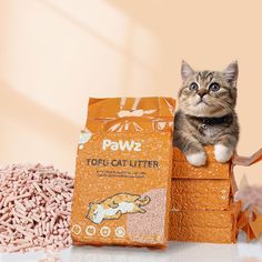 a kitten sitting on top of a bag of cat litter next to a pile of pink pellets