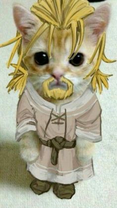 a drawing of a cat dressed up like an anime character with blonde hair and mustaches