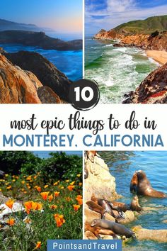 the top ten things to do in monterey, california with text overlay that reads 10 most