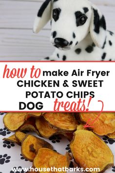 how to make air fryer chicken and sweet potato chips dog treats with text overlay