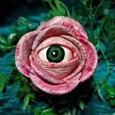 an eyeball in the center of a pink flower with green leaves around it on a blue surface