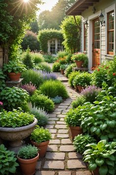 an outdoor garden with potted plants and flowers on the walkway leading to a house