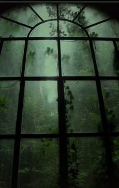 an open window in the middle of a forest filled with green plants and trees,