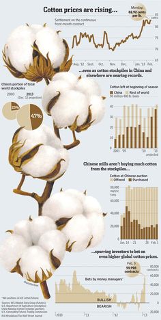 Qiuya Yang, Module 6. This infographic paints a picture of a tight cotton market, driven by China’s stockpiling behavior and influencing global price trends. The visual representation effectively communicates the key trends and data points, making it clear why cotton prices are on the rise and how different market players are responding. Scientific Poster Design, Infographic Examples, Scientific Poster, Infographic Layout, Infographic Inspiration, Research Poster, Information Visualization, Data Visualization Design, Infographic Design Layout