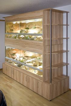 a large display case filled with lots of different types of rocks and plants in it