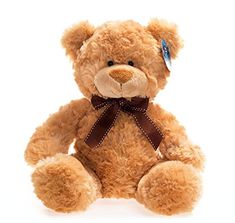 a brown teddy bear with a bow on it's head sitting in front of a white background