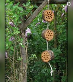 three bees are hanging from a tree in the woods with purple flowers behind them and green foliage