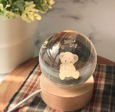 a clear glass ball with a teddy bear on it sitting on a wooden stand next to a potted plant