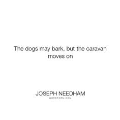 the dogs may bark, but the caravan moves on by joseph neidham quote