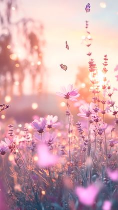 pink flowers and butterflies are in the foreground as the sun is setting behind them