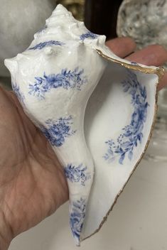 a hand holding a blue and white sea shell