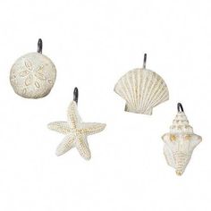 three seashells and one starfish hanging from hooks